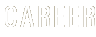 Career